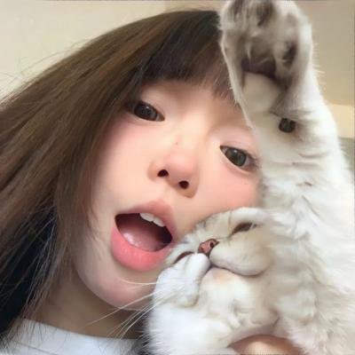 掌门低调点 动态漫第一季